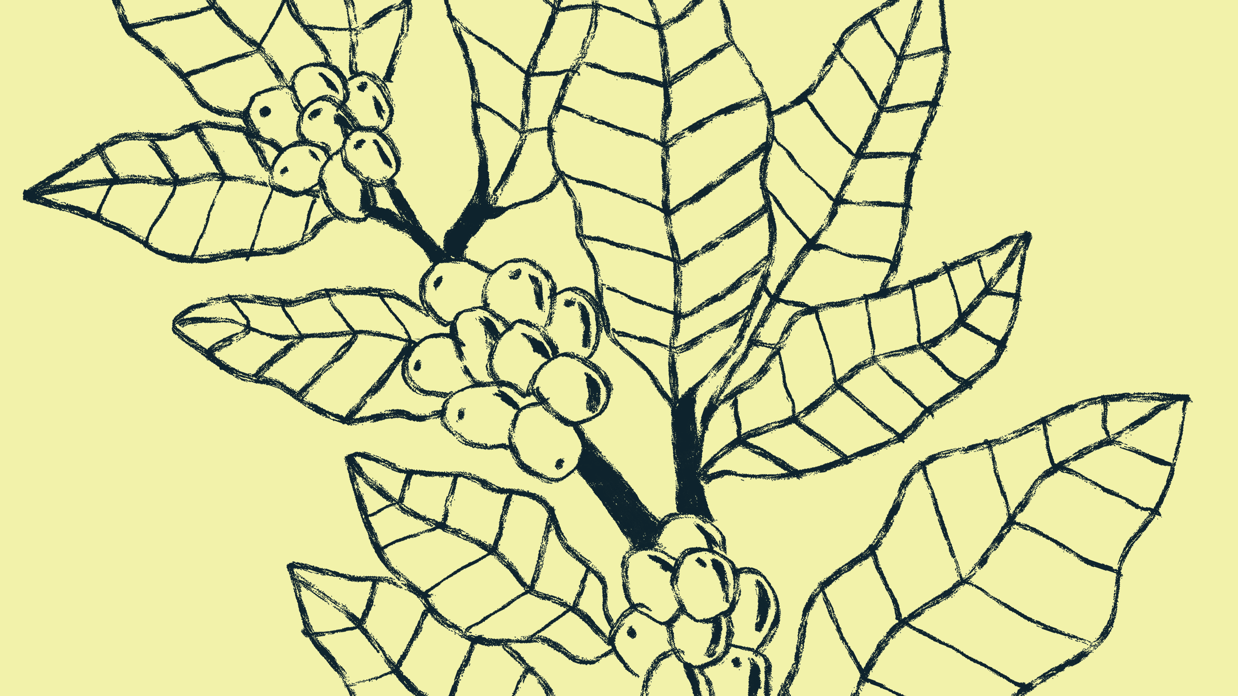 curva_comp-019 curva_comp-019